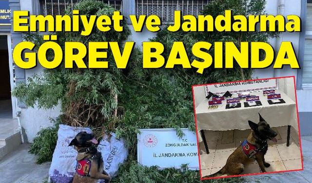 Emniyet ve Jandarma görev başında