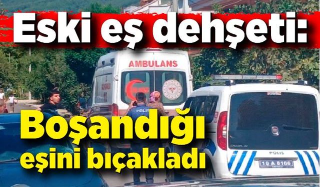 Erdek’te eski eş dehşeti: Boşandığı eşini bıçakladı