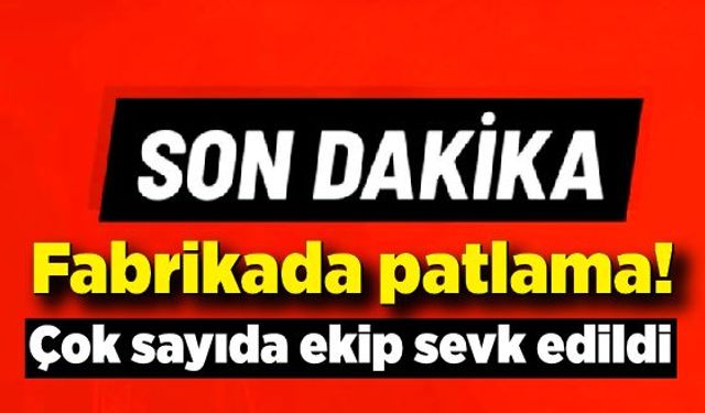 Sakarya'da fabrikada patlama sesi duyuldu