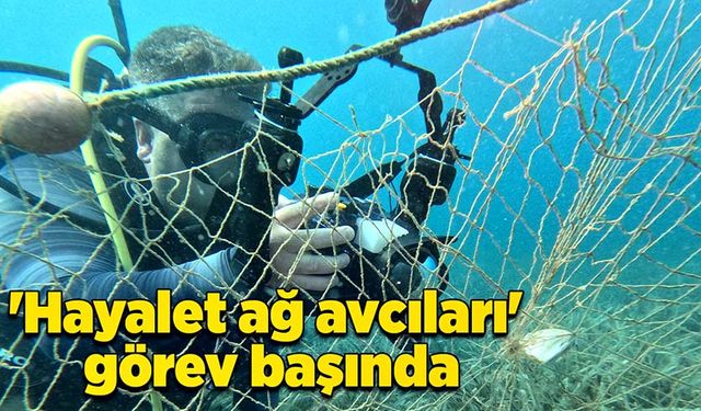 'Hayalet ağ avcıları' görev başında