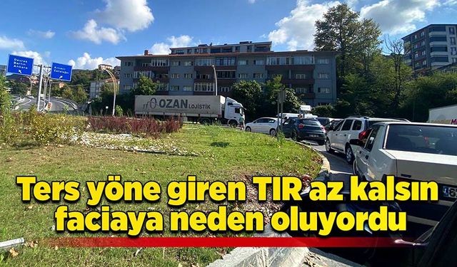 Ters yöne giren TIR faciaya neden oluyordu