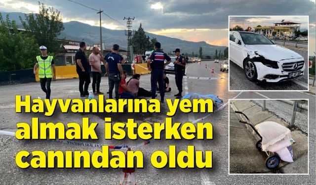 Hayvanlarına yem almak isterken canından oldu