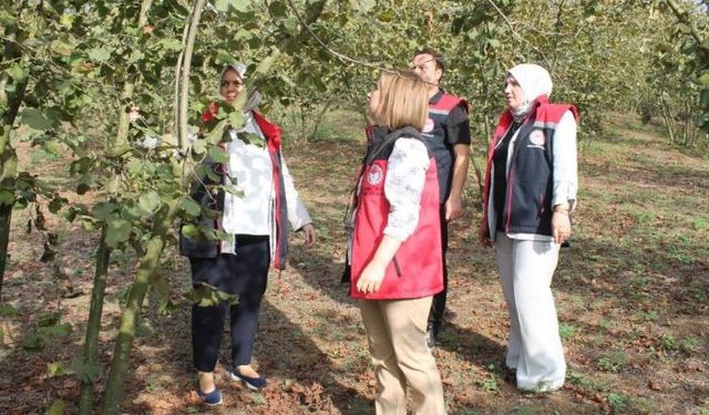 İyi tarım uygulamaları yerinde incelendi