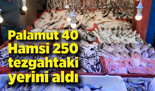 Palamut 40, hamsi 250 liradan tezgahtaki yerini aldı