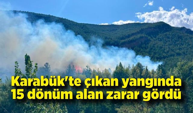 Karabük'te çıkan yangında 15 dönüm alan zarar gördü