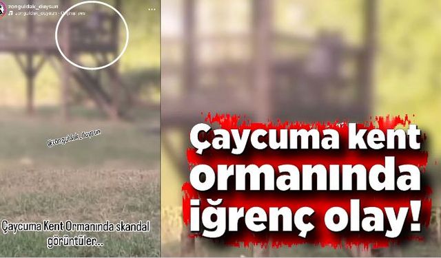 Çaycuma Kent Ormanında iğrenç olay!