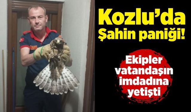 Kozlu’da Şahin paniği!  Ekipler vatandaşın imdadına yetişti