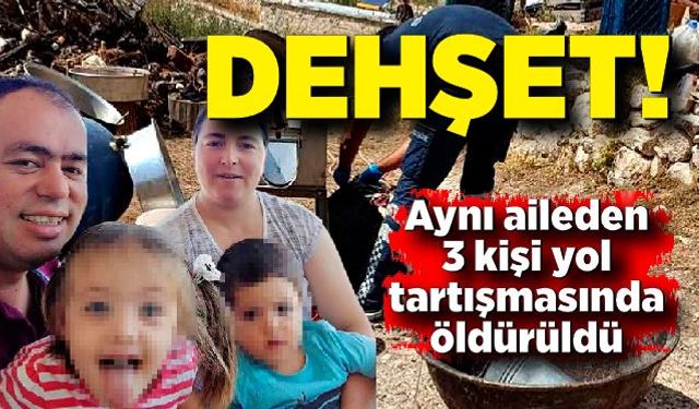 Dehşet! Aynı aileden 3 kişi yol tartışmasında öldürüldü