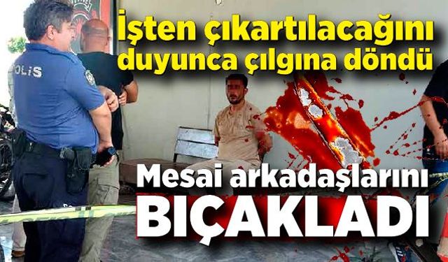 İşten çıkartılacağını duyunca çılgına döndü, mesai arkadaşlarını bıçakladı