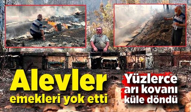 Alevler emekleri yok etti: Orman yangınında yüzlerce arı kovanı küle döndü