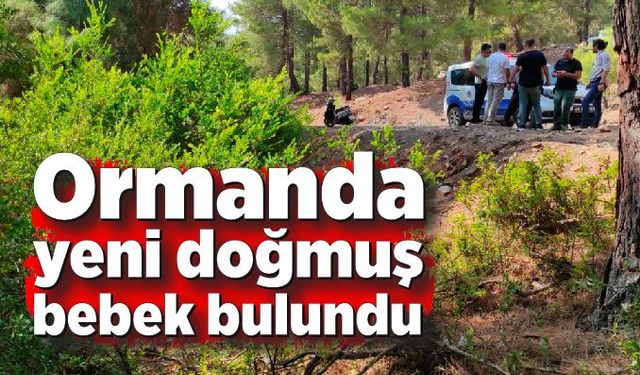 Ormanda terk edilmiş bebek bulundu