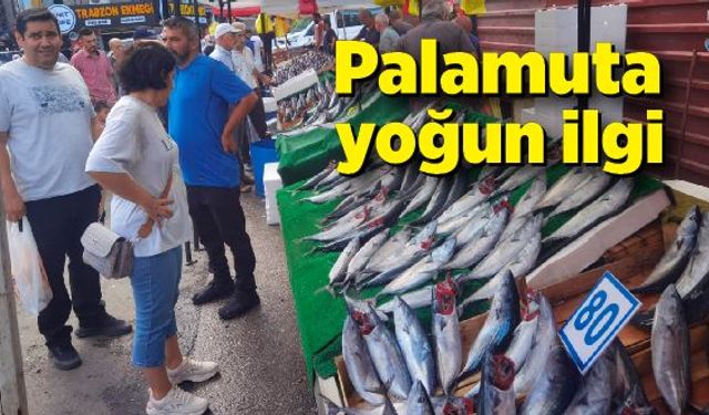 Palamut irileştikçe fiyatı da artıyor