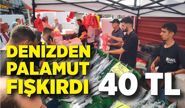 Palamut 40 liraya düştü, vatandaşlar ucuz balığa hücum etti