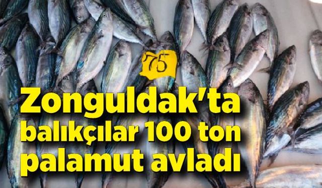 Zonguldak'ta balıkçılar dört günde 100 ton palamut avladı