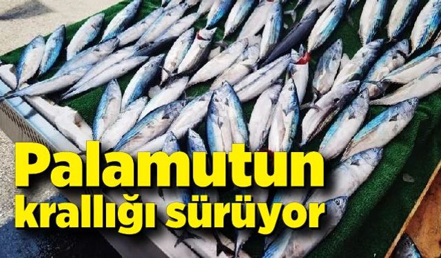 Palamutun krallığı sürüyor