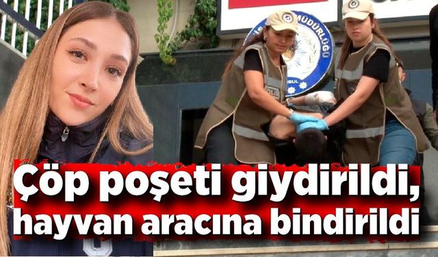 Polisi şehit eden saldırgan; Çöp poşeti giydirildi, hayvan aracına bindirildi