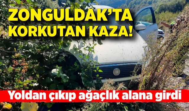 Zonguldak'ta kaza! Yoldan çıkıp ağaçlık alana girdi