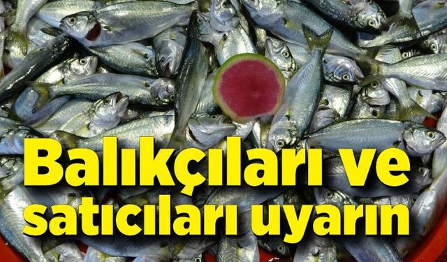 Gıda Tarım Ve Hayvancılık İl Müdürlüğünün Dikkatine; Balıkçıları ve satıcıları uyarın