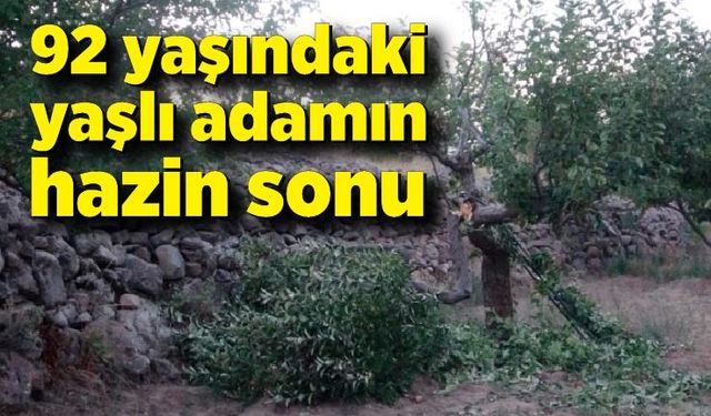 92 yaşındaki şahıs budamak için çıktığı ağaçtan düşerek öldü