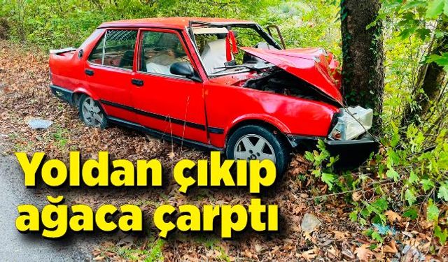 Ağaca çarpan otomobildeki 2 kişi yaralandı