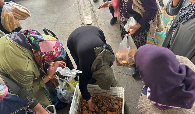 Fiyatı duyan koştu geldi, bir kasa mantar dakikalar içinde tükendi