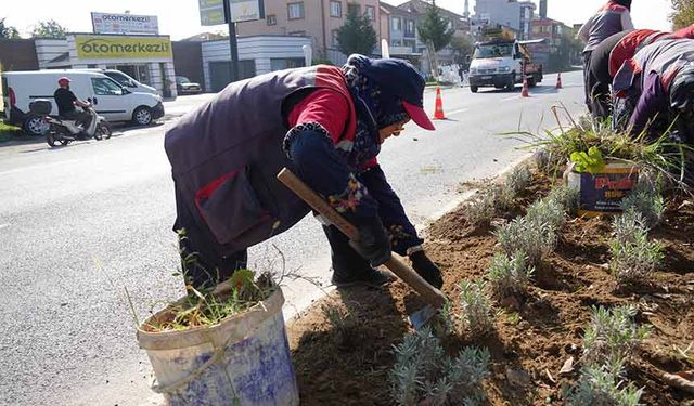 Mevsime uygun bakım çalışmaları yapılıyor