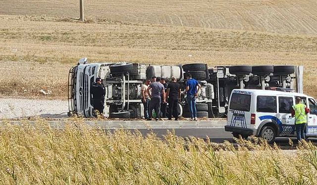 Ankara'da kuzu yüklü tır devrildi, hayvanlar telef oldu