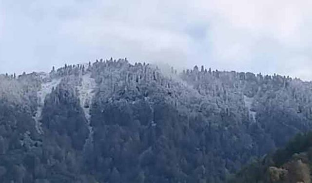 Zonguldak'a mevsimin ilk karı yağdı