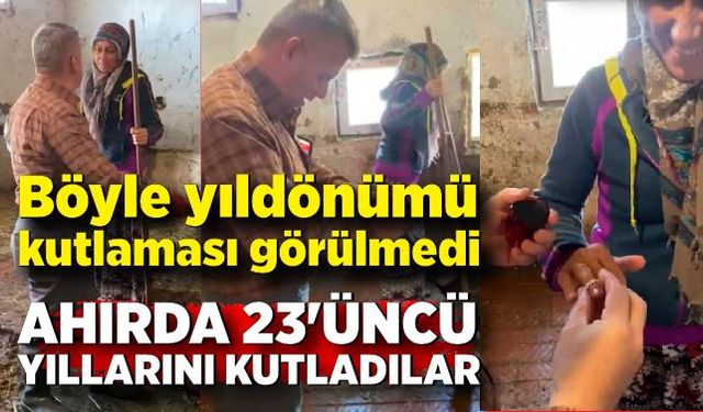 Böyle yıldönümü kutlaması görülmedi; Ahırda 23'üncü  yıllarını kutladılar