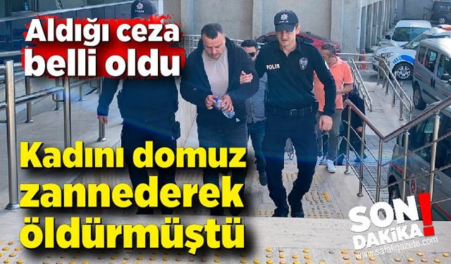 Kadını domuz zannederek kazayla öldürmüştü; Cezası belli oldu