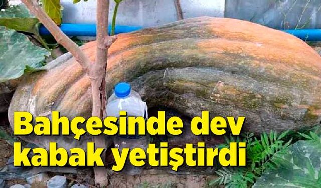 Bahçesinde yetişen kabağı görünce şaşkınlığını gizleyemedi