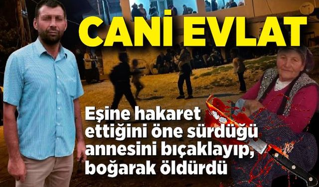 Annesini bıçaklayıp bastonla boğarak öldürdü