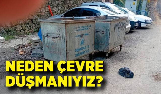 Neden çevre düşmanıyız?