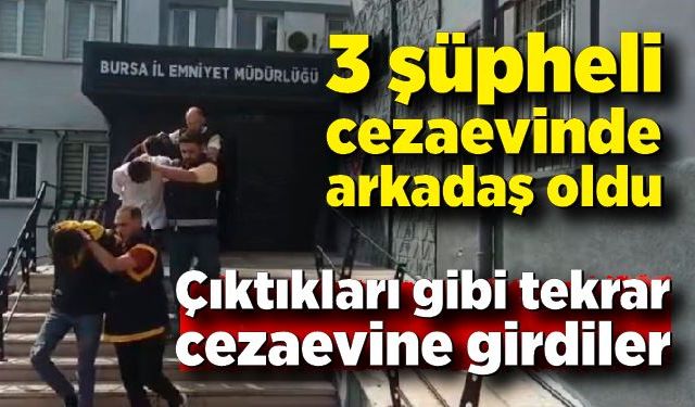 Cezaevinde arkadaş oldular, çıktıkları gibi tekrar cezaevine girdiler