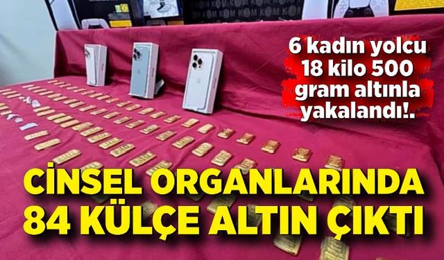 Cinsel organlarında taşıdıkları 84 adet  külçe altınlarla yakalandılar: