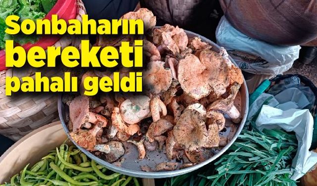 Sonbaharın bereketi pahalı geldi: 250 TL’den satılıyor!