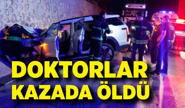 Korkunç kaza; Doktorlar kazada öldü