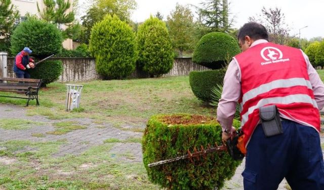 Düzce'de çevre düzenlemesi sürüyor