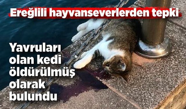 Ereğlili hayvanseverler ayaklandı