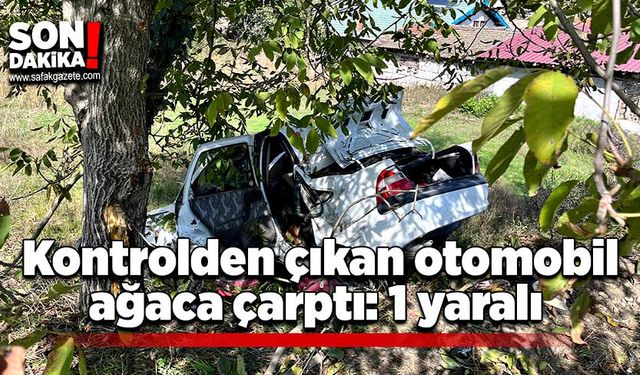 Otomobil kontrolden çıktı, ağaca çarptı