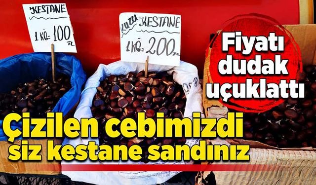 Çizilen cebimizdi siz kestane sandınız: Fiyatı dudak uçuklattı