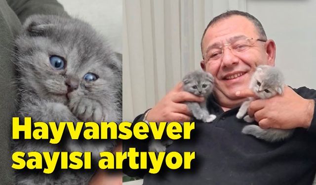 Hayvansever sayısı artıyor