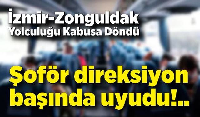 İzmir-Zonguldak Yolculuğu Kabusa Döndü: Şoför Seyir Halinde Uyudu