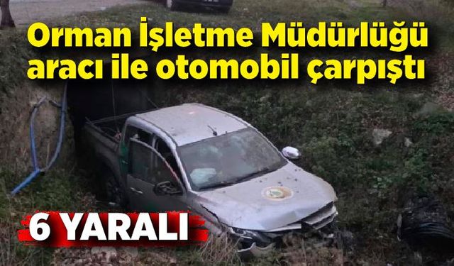 Orman İşletme Müdürlüğü aracı ile otomobil çarpıştı: 6 yaralı