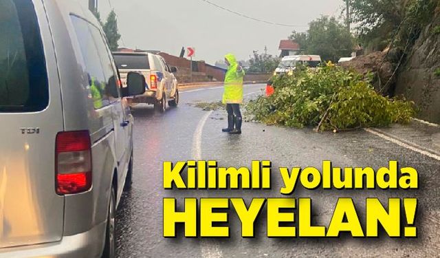 Kilimli yolunda heyelan!