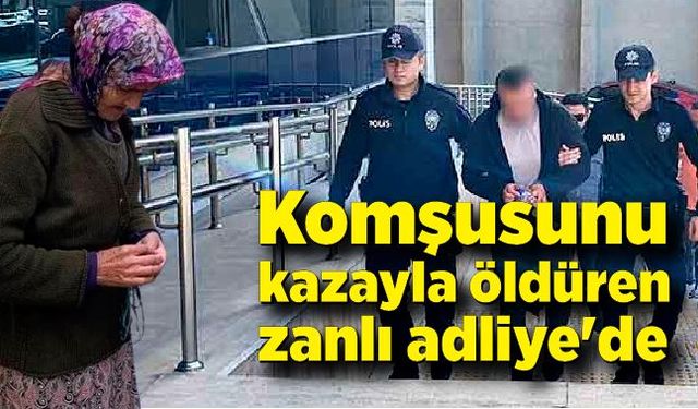 Komşusunu kazayla öldüren zanlı adliye'de