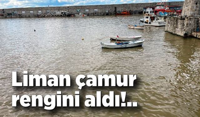 Zonguldak'ta deniz çamur rengini aldı