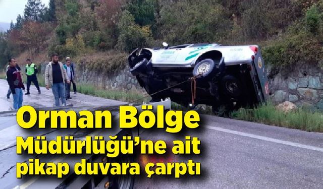 Orman Bölge Müdürlüğü’ne ait pikap duvara çarptı; 3 yaralı