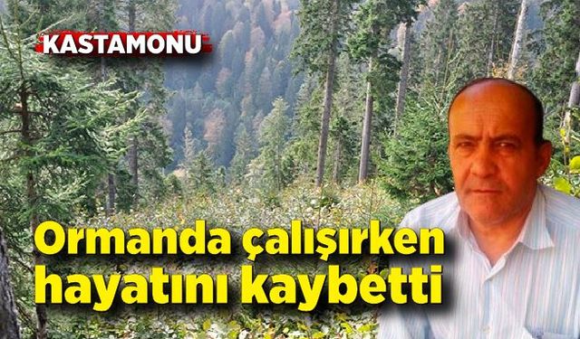 Ormanda çalışırken hayatını kaybetti