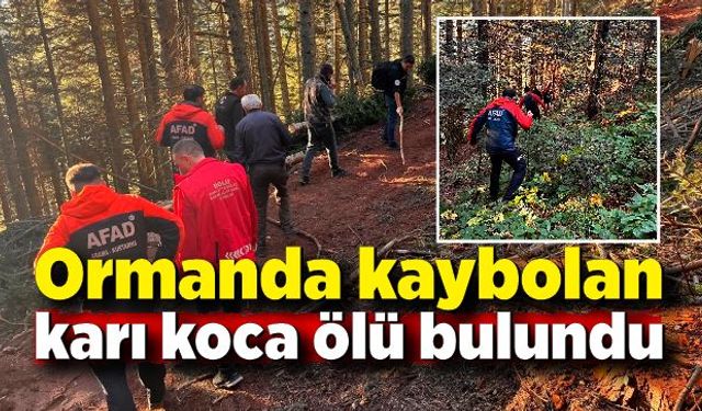 Ormanda kaybolan karı koca ölü bulundu; Hipotermi geçirdikleri düşünülüyor